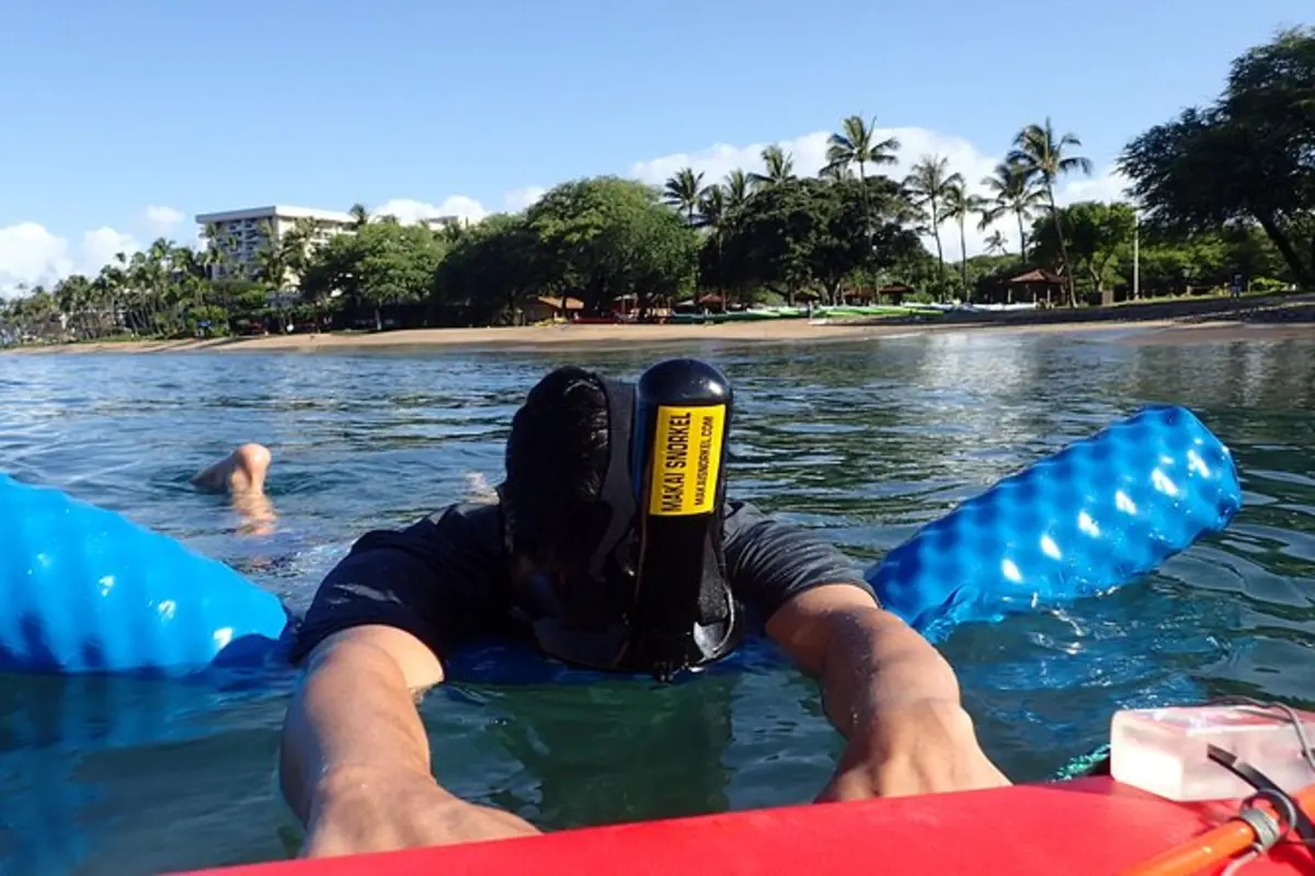 Private Snorkel Experience for Beginner Swimmers