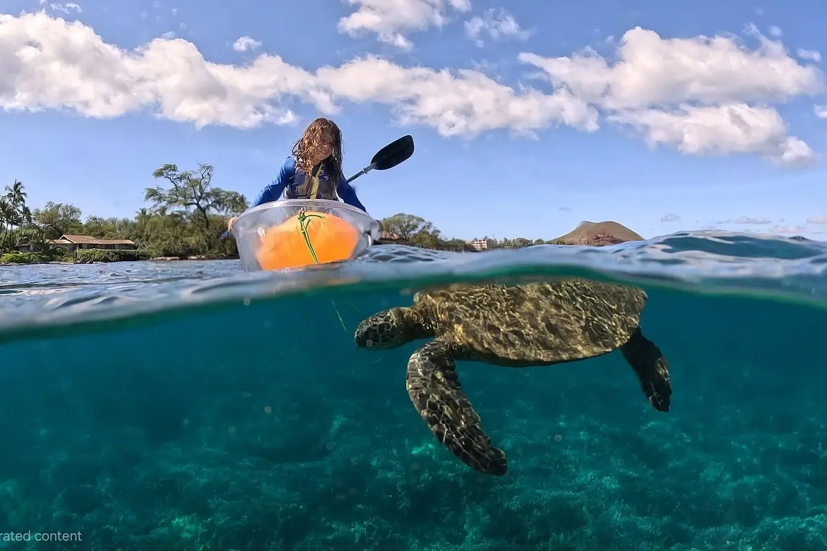 Turtle Town Clear Kayak and Snorkel Tour