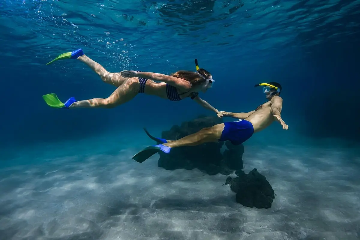 Turtle Town Snorkel With Photo and Video