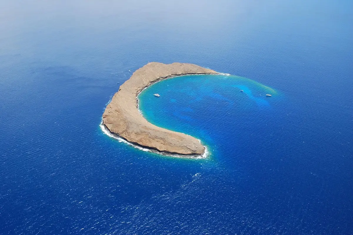 Molokini, Turtle Town and Waterslide Adventure