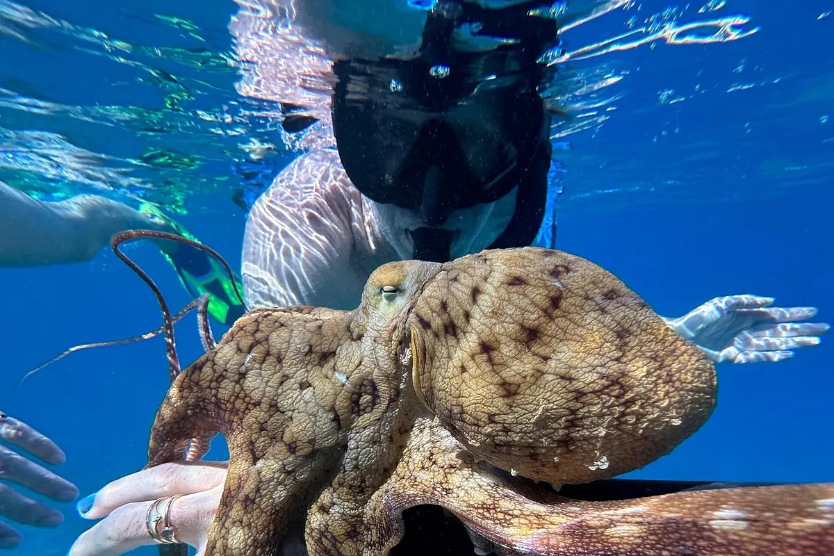 Private Snorkel With Photos Included